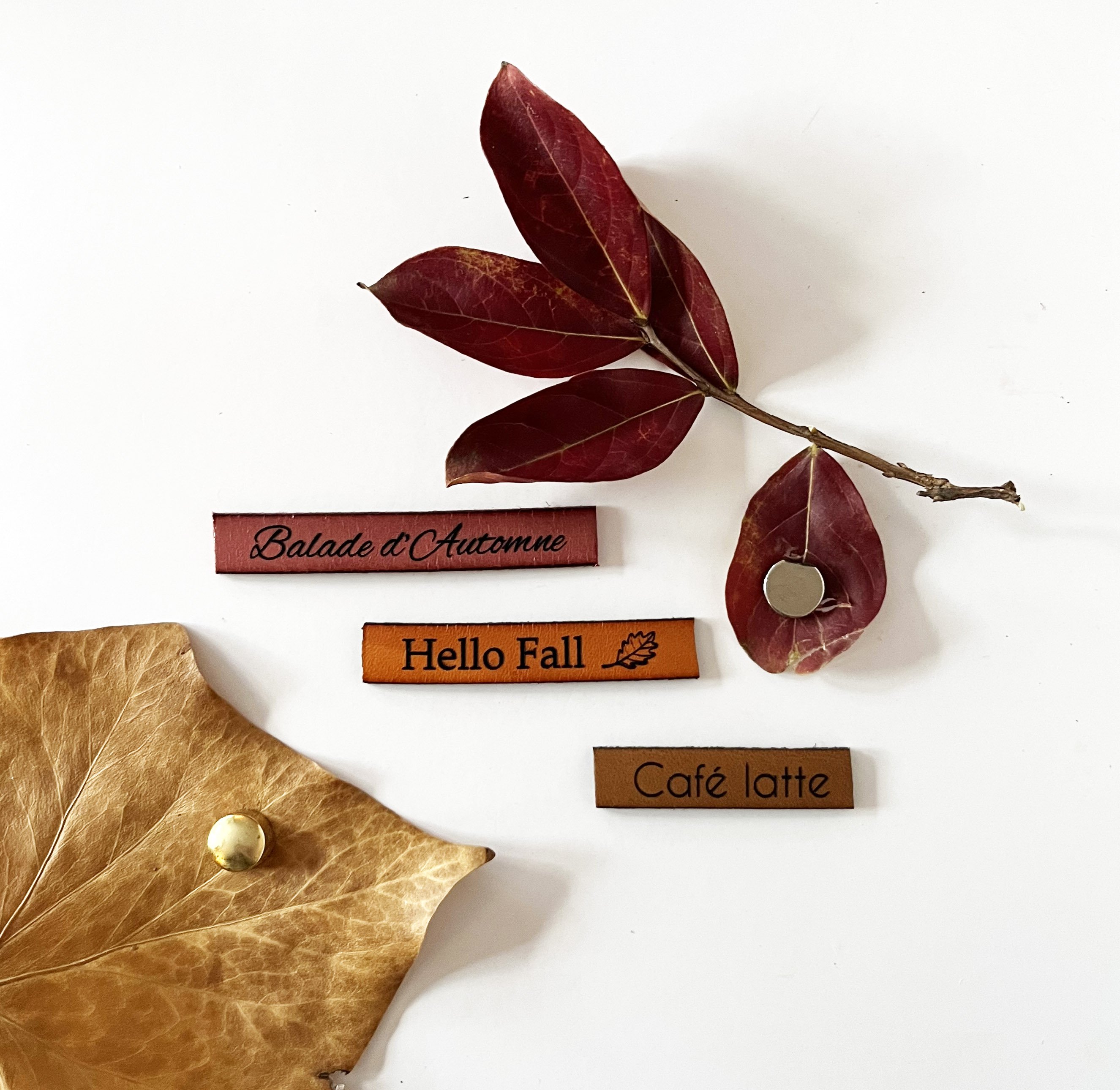 Ensemble magnets en cuir gravé thème automne 